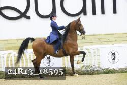 24R13_18595 thumbnail
