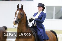 24R13_18596 thumbnail