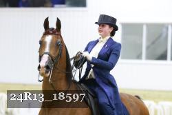 24R13_18597 thumbnail