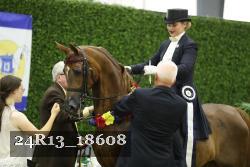 24R13_18608 thumbnail