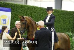 24R13_18609 thumbnail