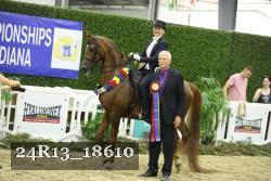 24R13_18610 thumbnail