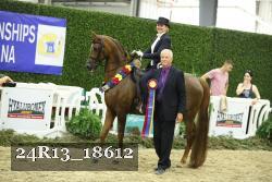 24R13_18612 thumbnail