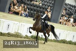 24R13_18615 thumbnail