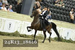 24R13_18616 thumbnail