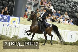 24R13_18617 thumbnail