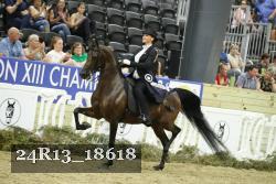 24R13_18618 thumbnail