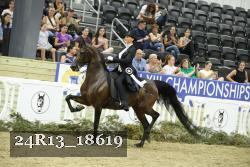 24R13_18619 thumbnail
