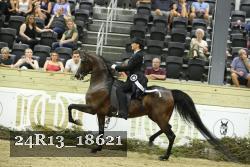 24R13_18621 thumbnail
