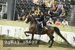 24R13_18622 thumbnail