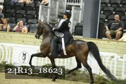 24R13_18623 thumbnail