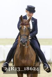 24R13_18624 thumbnail