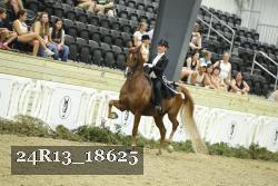 24R13_18625 thumbnail