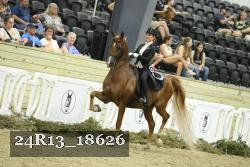 24R13_18626 thumbnail