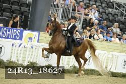 24R13_18627 thumbnail