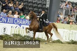 24R13_18628 thumbnail
