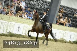 24R13_18631 thumbnail