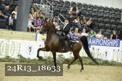 24R13_18633 thumbnail