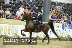 24R13_18634 thumbnail