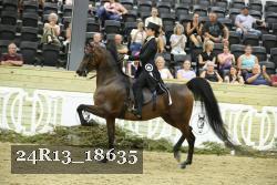 24R13_18635 thumbnail