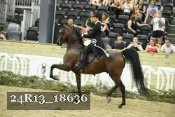 24R13_18636 thumbnail