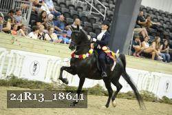 24R13_18641 thumbnail