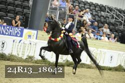24R13_18642 thumbnail