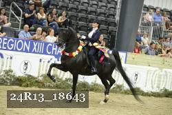 24R13_18643 thumbnail