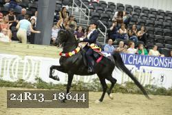 24R13_18644 thumbnail