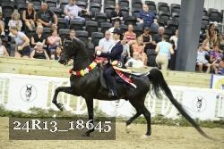 24R13_18645 thumbnail