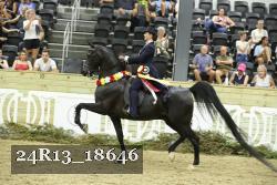 24R13_18646 thumbnail
