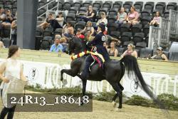 24R13_18648 thumbnail