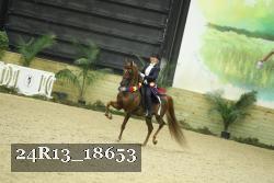 24R13_18653 thumbnail