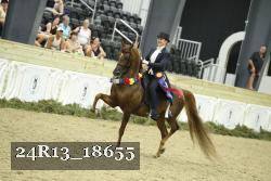 24R13_18655 thumbnail