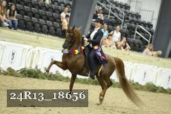 24R13_18656 thumbnail
