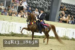 24R13_18658 thumbnail