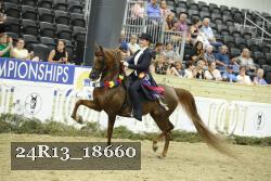 24R13_18660 thumbnail