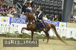 24R13_18661 thumbnail