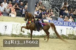 24R13_18662 thumbnail
