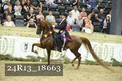 24R13_18663 thumbnail