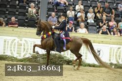 24R13_18664 thumbnail