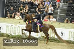24R13_18665 thumbnail