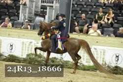 24R13_18666 thumbnail
