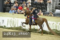 24R13_18667 thumbnail