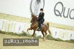 24R13_18680 thumbnail