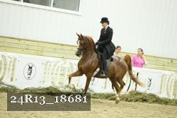24R13_18681 thumbnail