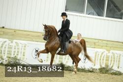 24R13_18682 thumbnail