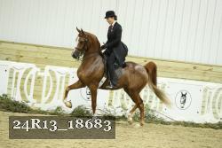 24R13_18683 thumbnail