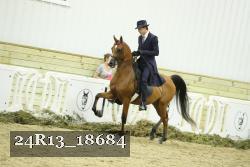 24R13_18684 thumbnail