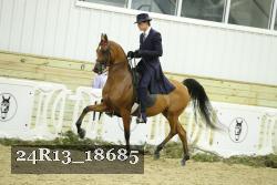 24R13_18685 thumbnail